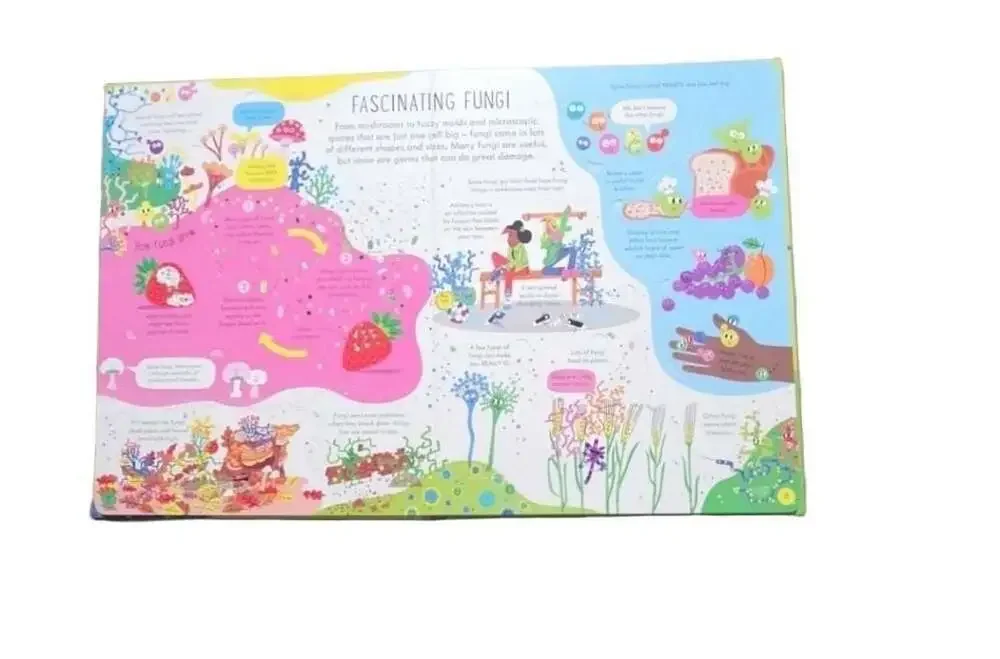 Usborne Flap Book: See Inside Germs STEM